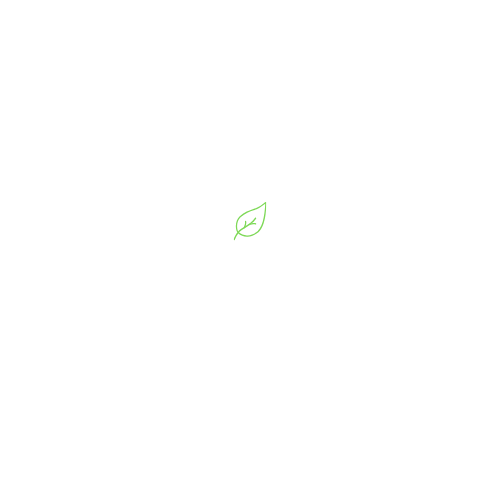 Maul logo
